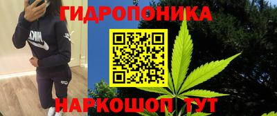 дмт Будённовск