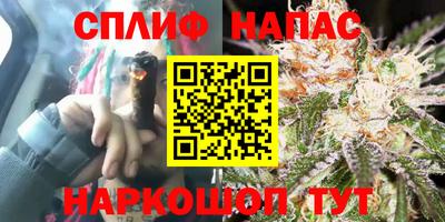 дмт Будённовск