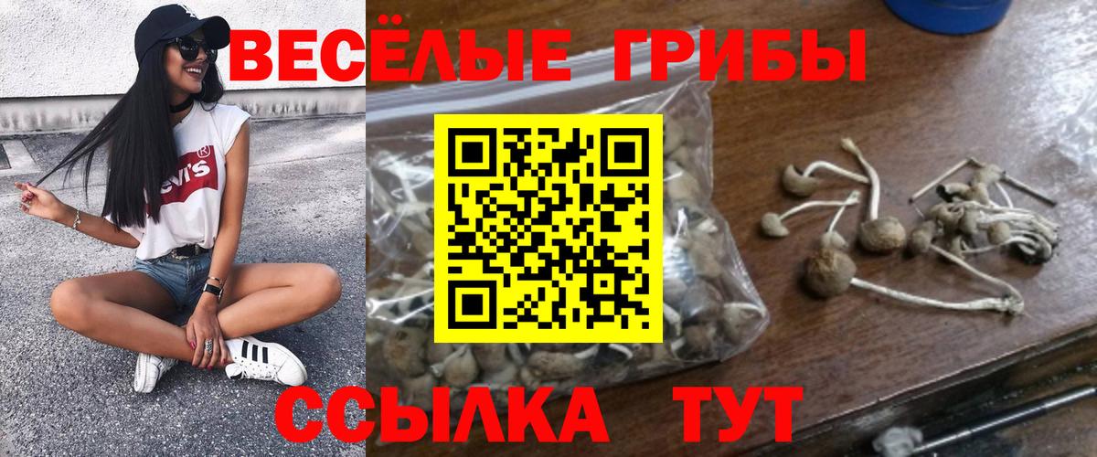 Псилоцибиновые грибы Cubensis Подольск